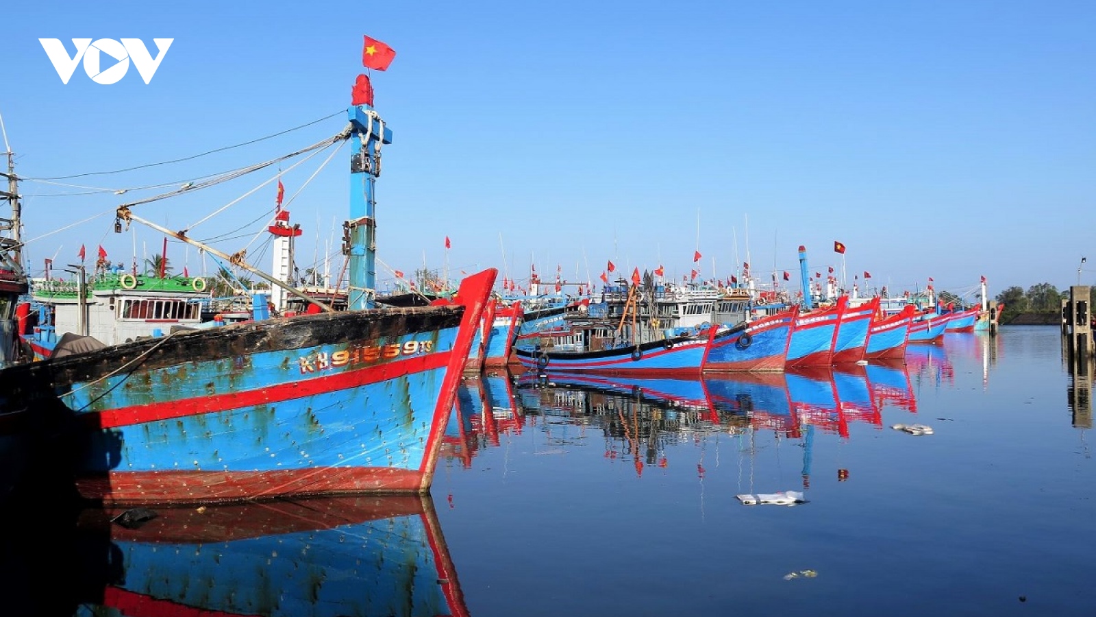 Rộn ràng mùa biển mới, ngư dân Quảng Ngãi săn lộc đầu năm