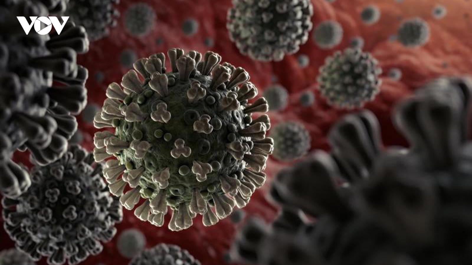 Ấn Độ phát hiện 2 biến thể đột biến cao của virus SARS-CoV-2