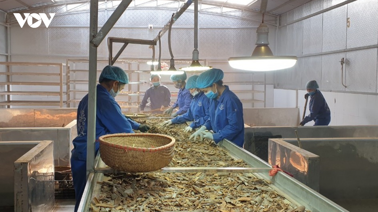 Người dân huyện nông thôn mới đầu tiên miền Tây Bắc đón Xuân no ấm