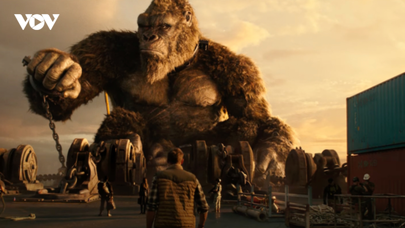 Những con số ấn tượng trong bom tấn "Godzilla đại chiến Kong"