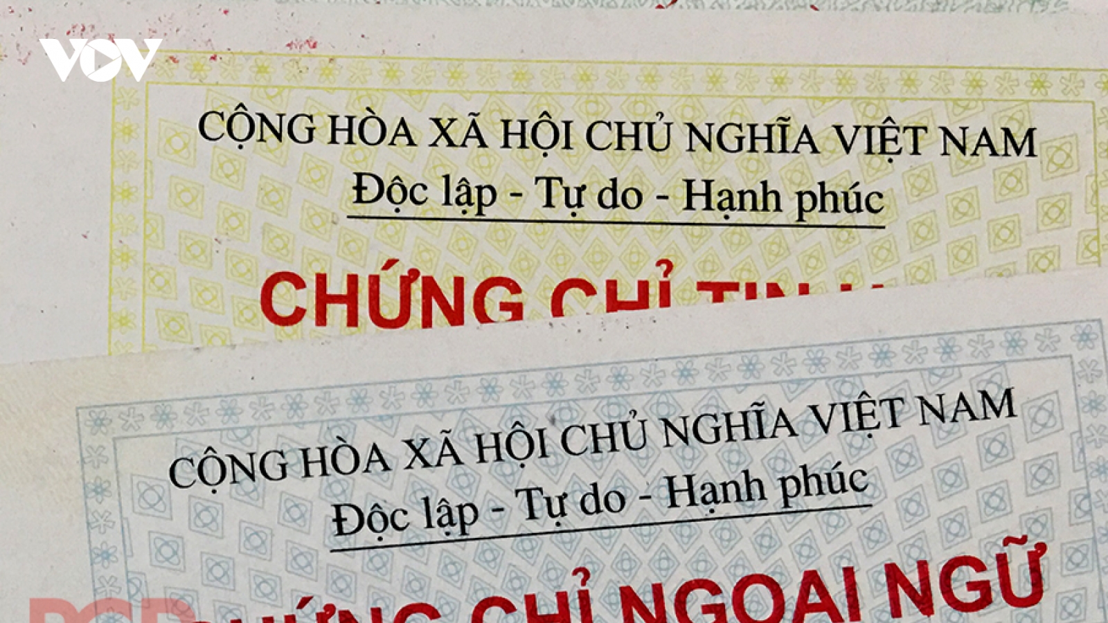 Cấp chứng chỉ năng lực ngoại ngữ trái phép bị phạt đến 100 triệu đồng