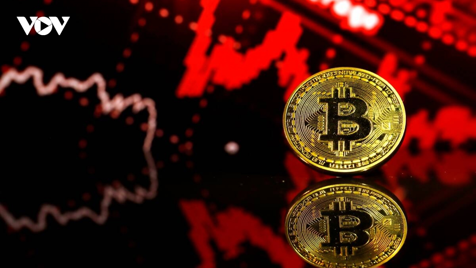 Bitcoin - "Vàng" kỹ thuật số hay chỉ là "bong bóng"?