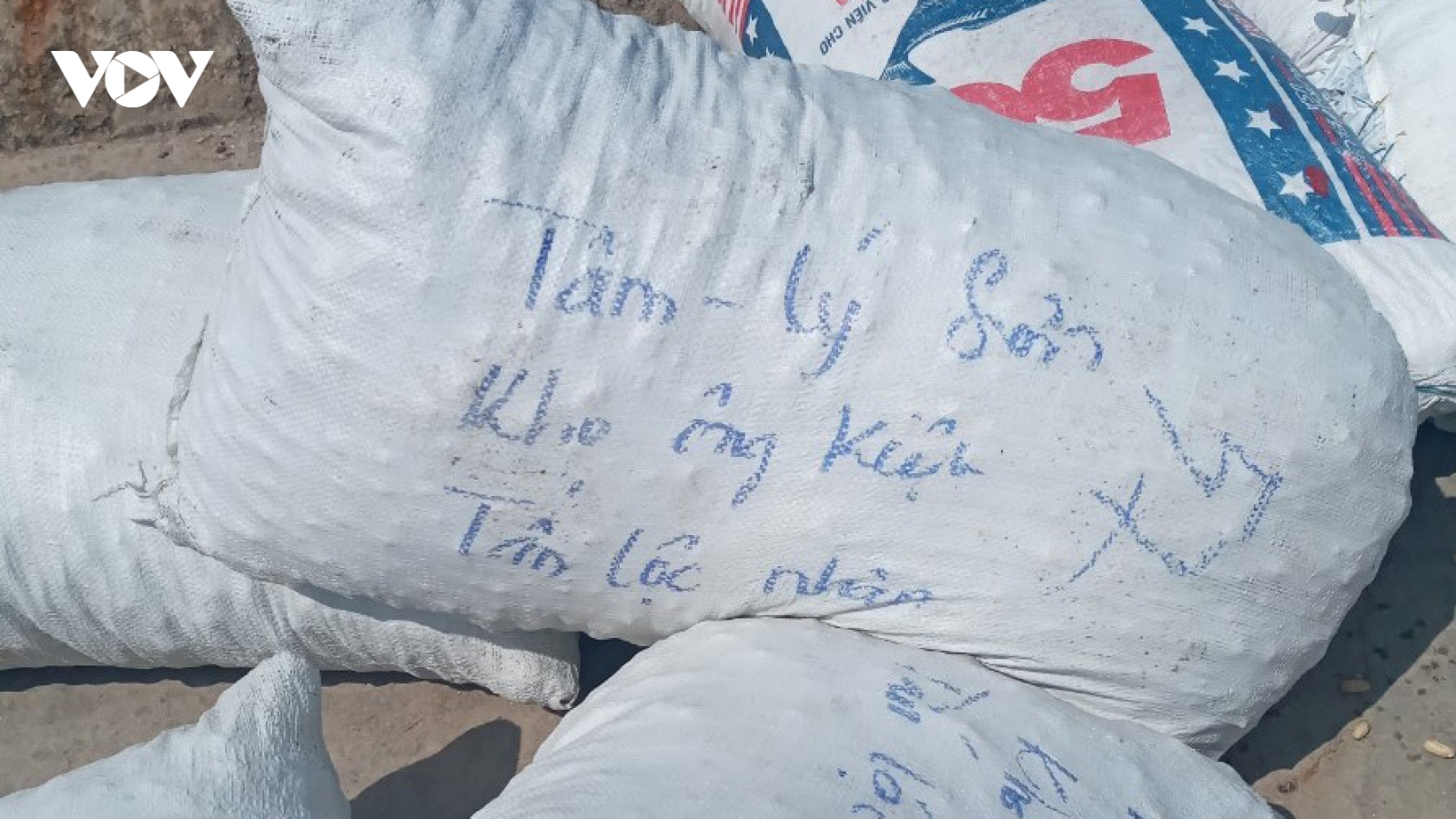 Chở tỏi từ đất liền ra đảo Lý Sơn để giả thương hiệu