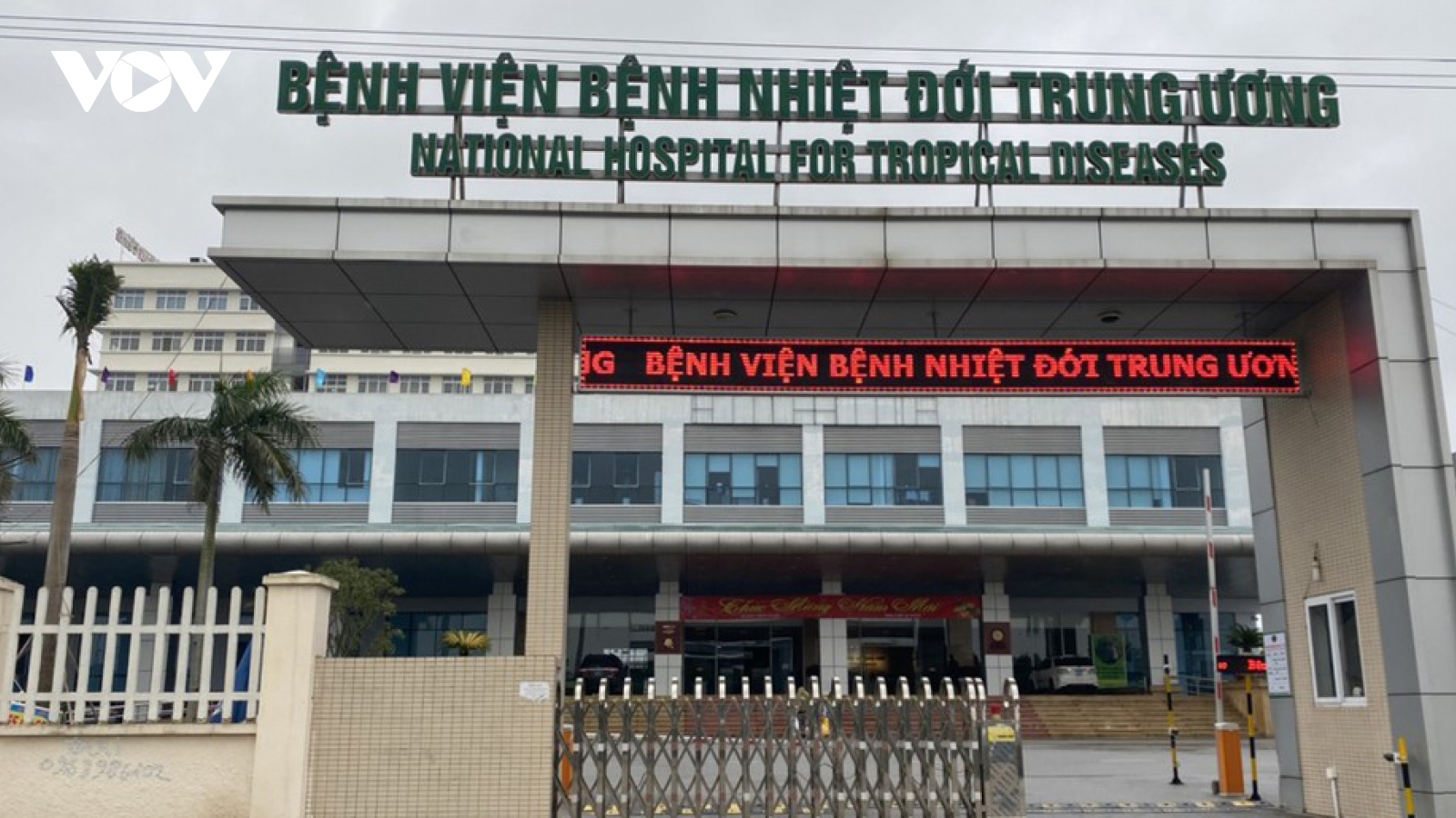 Uống thuốc nam mong sinh con trai, người phụ nữ bị nhiễm độc gan