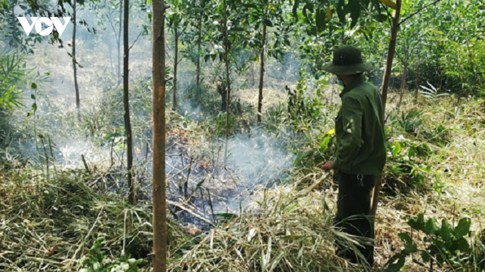Đắk Lắk triển khai phòng, chống cháy rừng trong cao điểm mùa khô