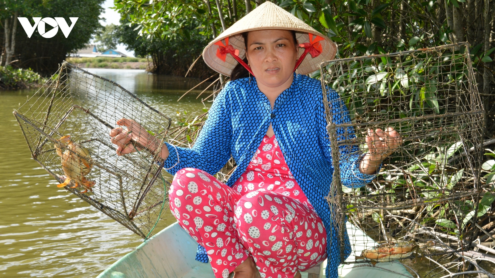 Cà Mau sẽ tổ chức “Ngày hội cua Năm Căn” vào tháng 9