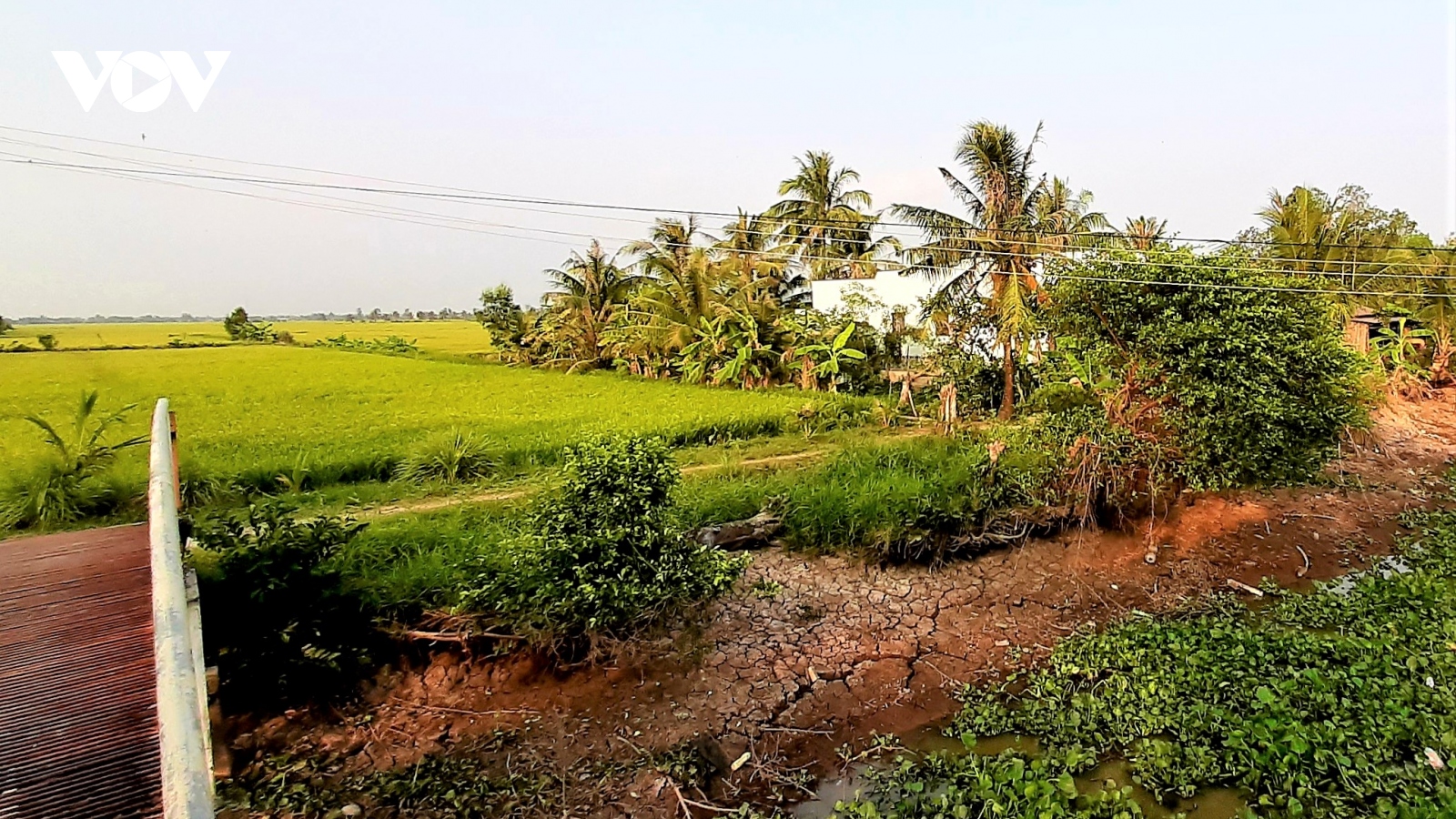 ĐBSCL đi tìm lời giải "thuận thiên": Câu chuyện từ các địa phương