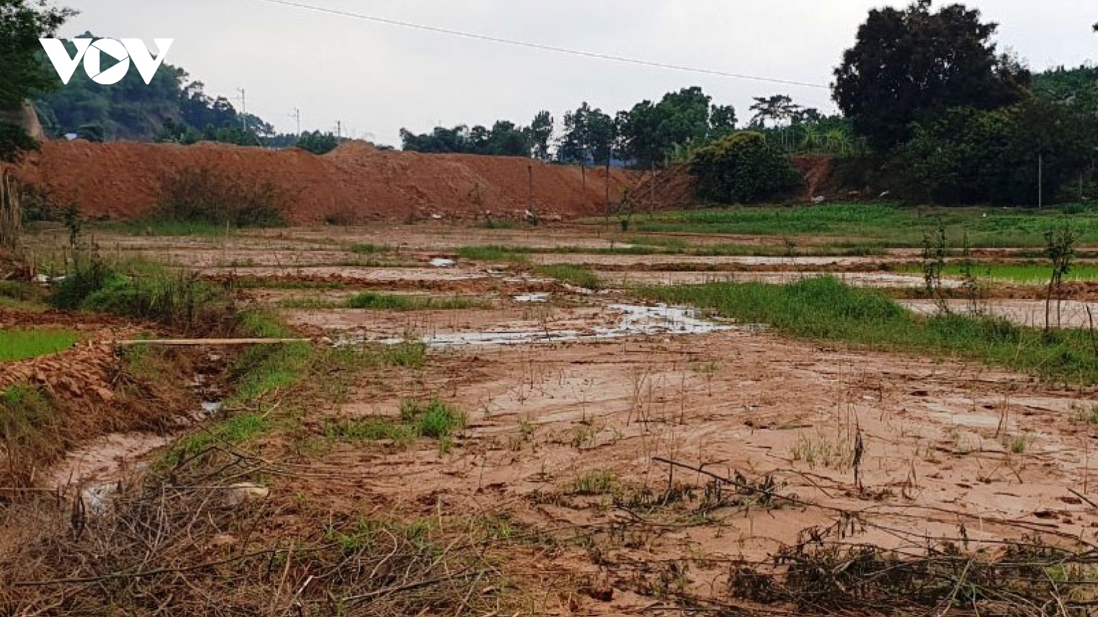 Xót xa bùn đất dự án tràn vào ruộng, người dân không thể trồng cấy