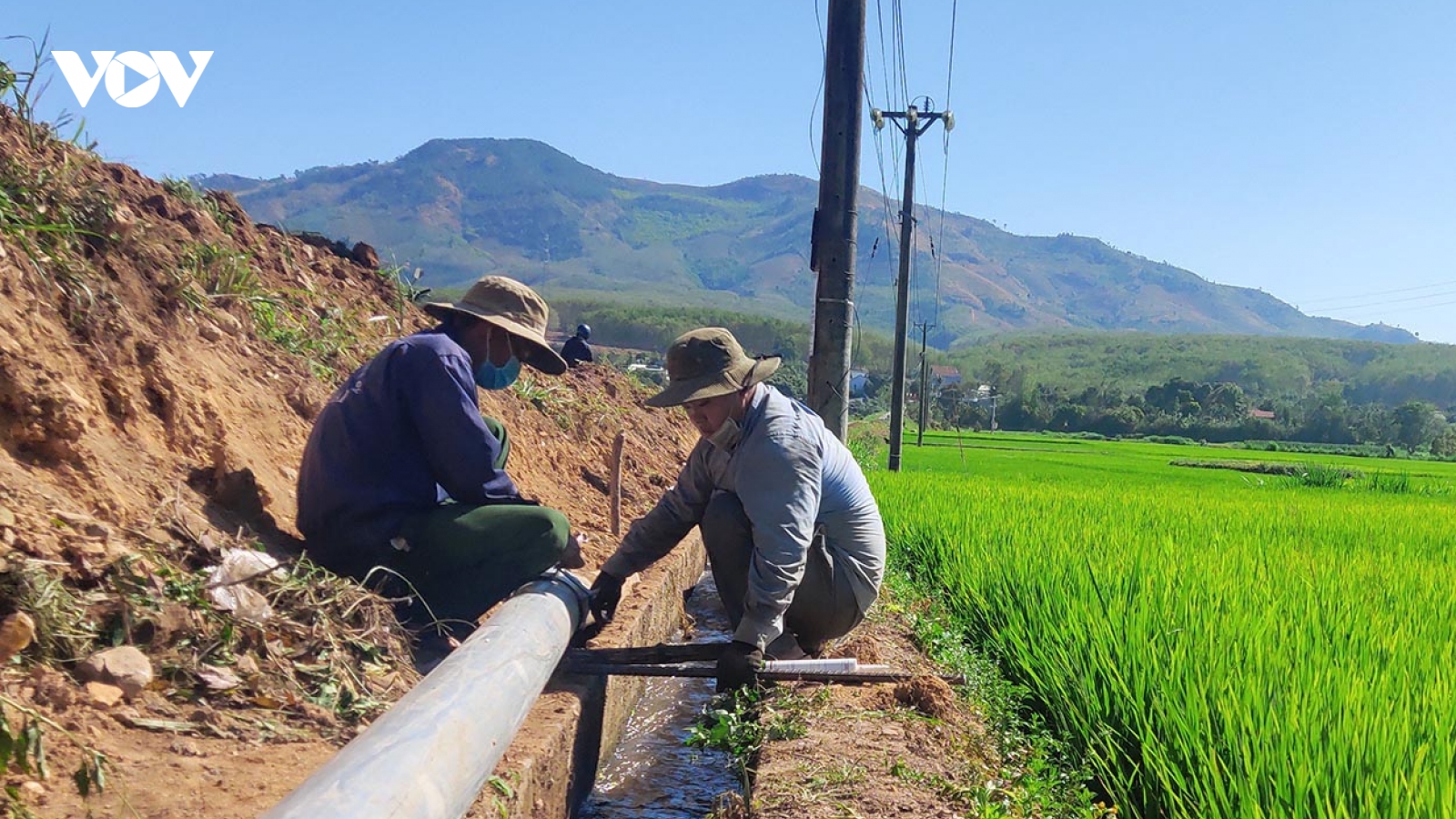 Kon Tum chủ động chống hạn cho cây trồng