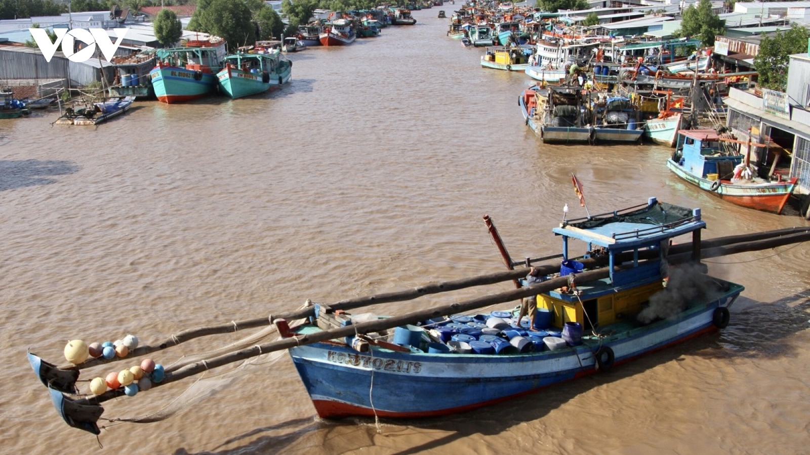 Ngư dân Bạc Liêu phấn khởi vì trúng mùa ruốc