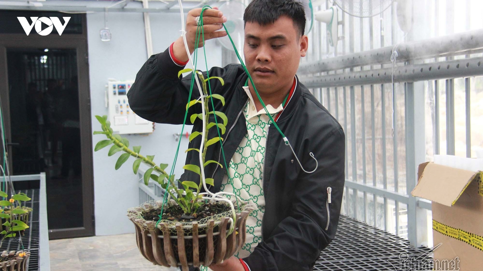 Cơn sốt lan đột biến tiềm ẩn nguy cơ trốn thuế, rửa tiền