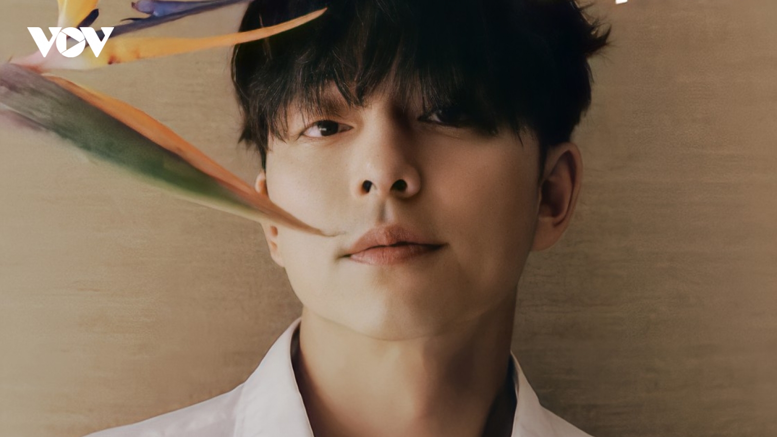 Gong Yoo tái xuất điển trai, tiết lộ tính cách thật của Park Bo Gum