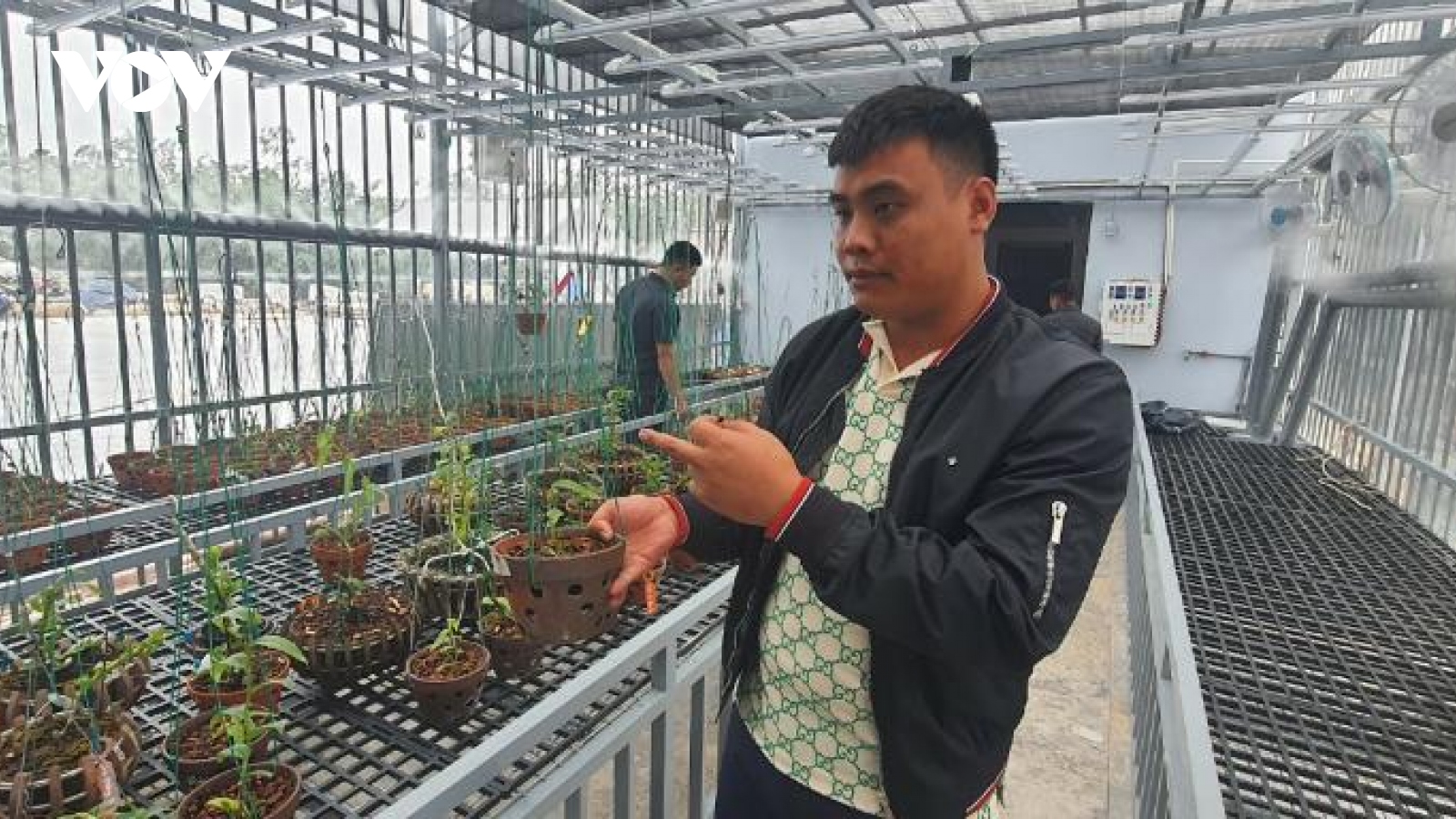 Cơ quan chức năng ở Quảng Ninh lên tiếng về vụ mua bán lan đột biến gần 300 tỷ đồng