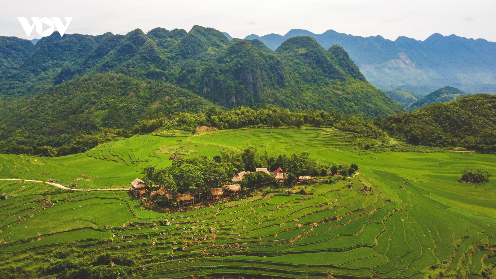 Những khu nghỉ dưỡng đưa du khách đắm mình giữa rừng cây