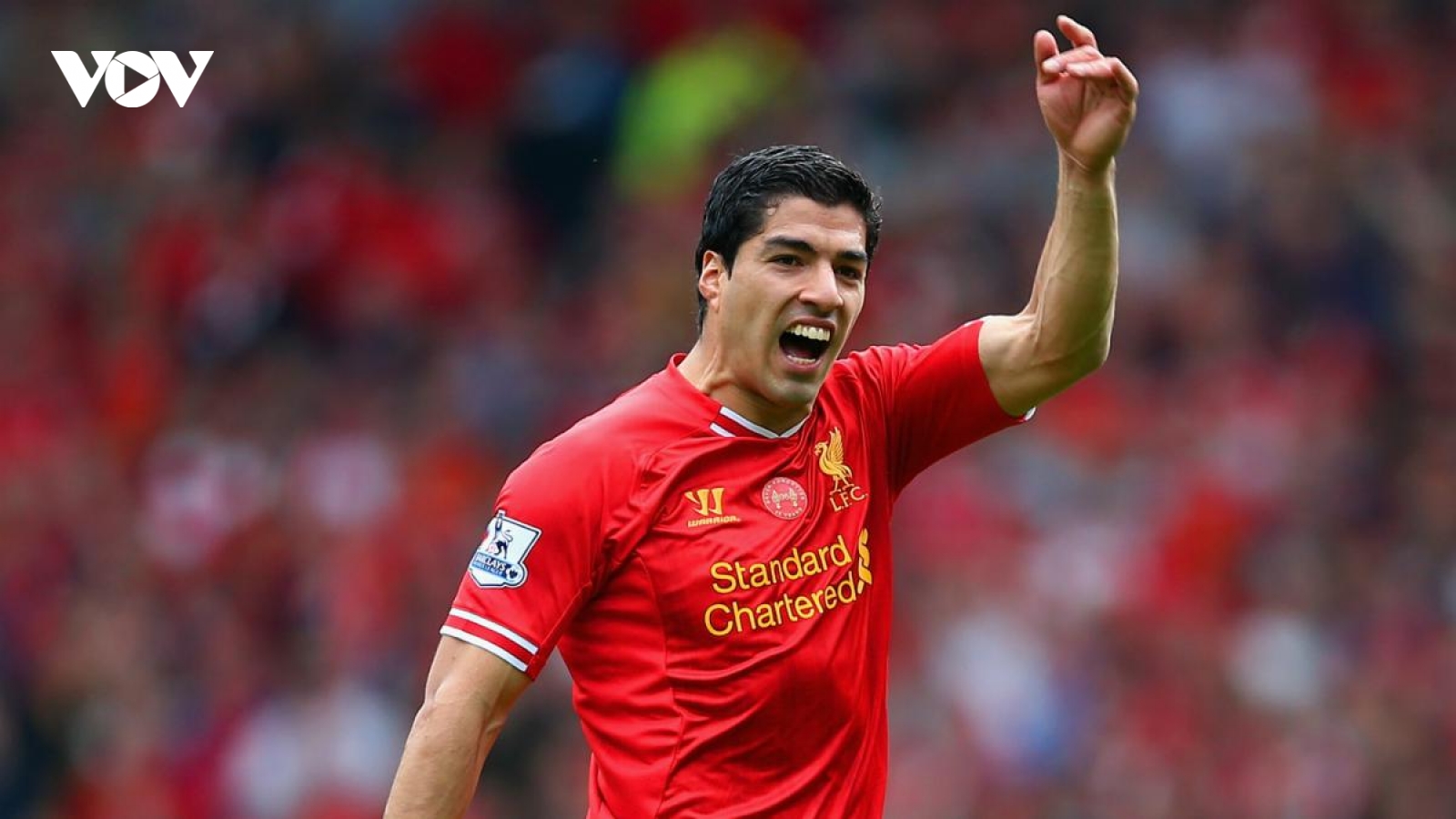Liverpool sẵn sàng đón Luis Suarez trở lại