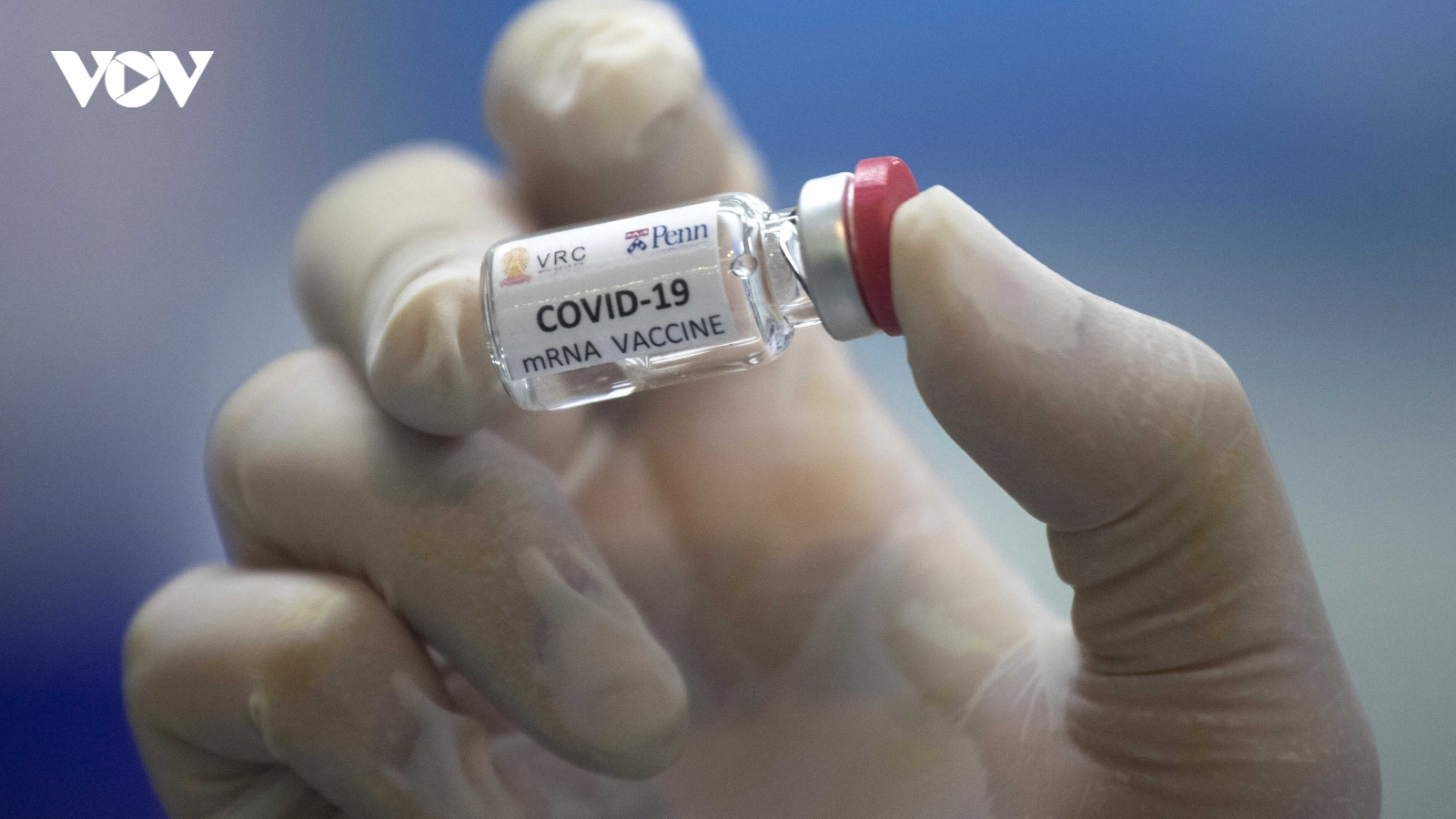 Thái Lan bắt đầu quá trình thử nghiệm vaccine Covid-19 trên người