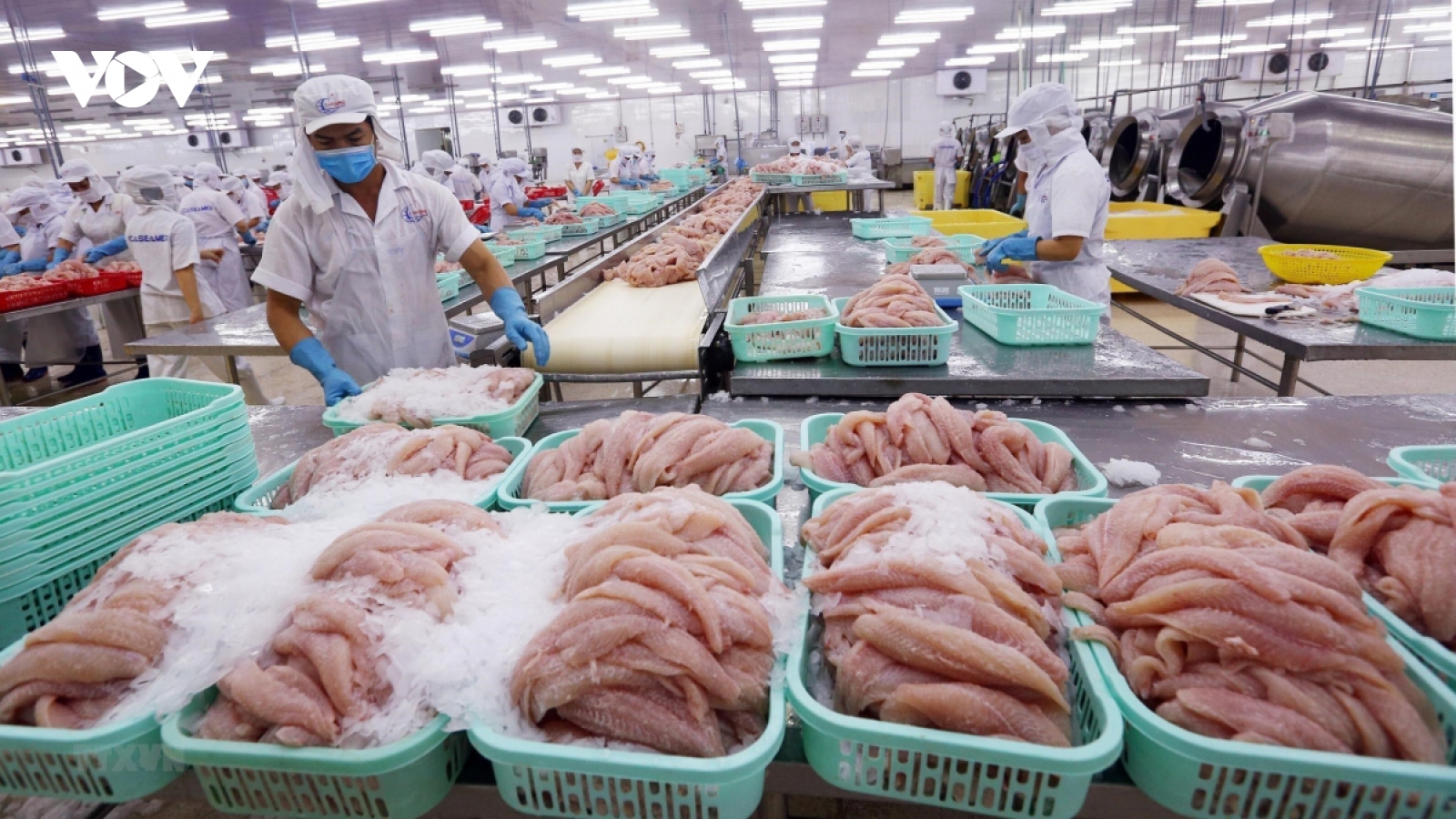 Xuất khẩu thuỷ sản hướng tới mục tiêu đạt 14 -16 tỷ USD