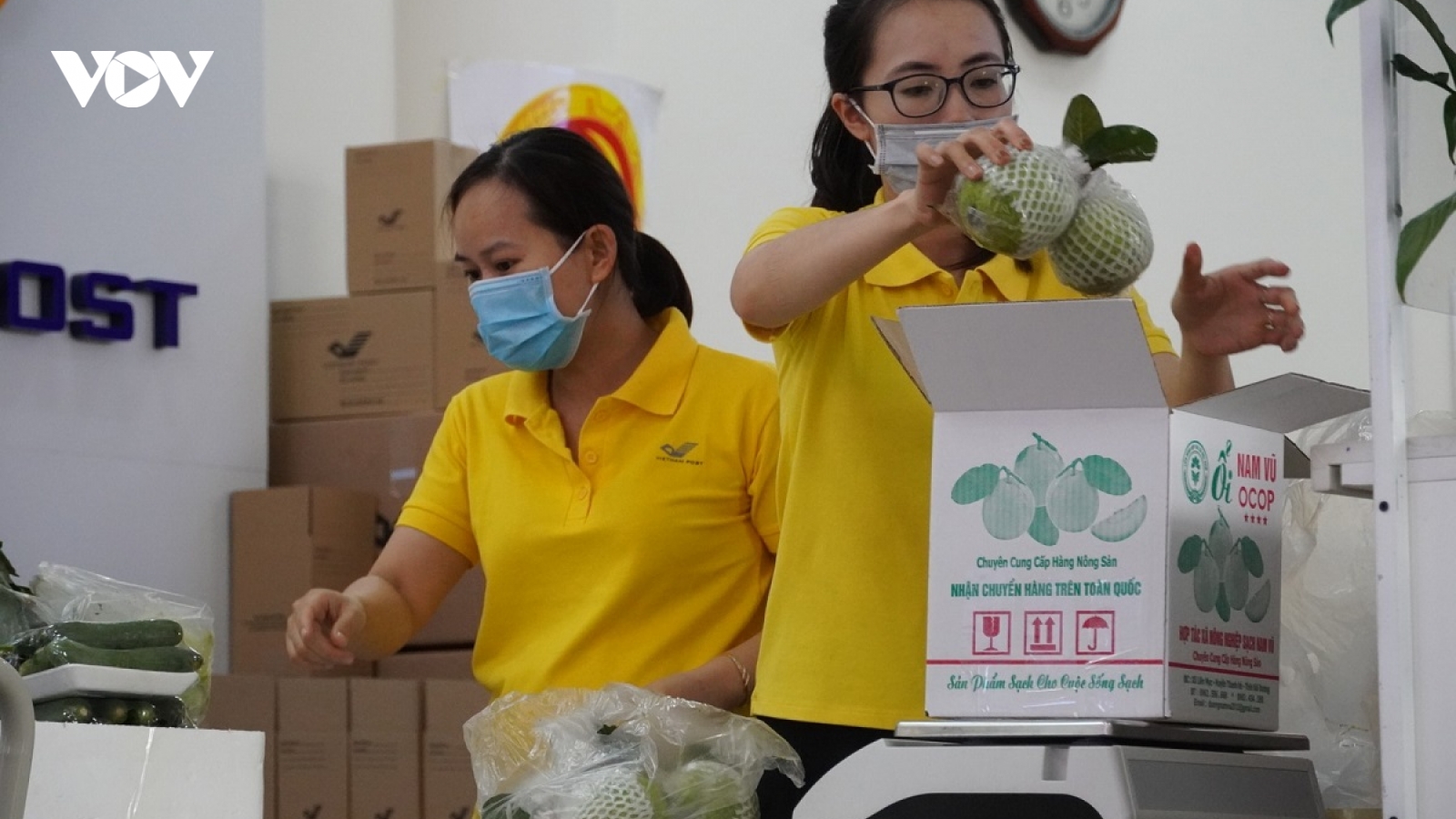 Giải cứu nông sản Hải Dương qua sàn thương mại điện tử Postmart