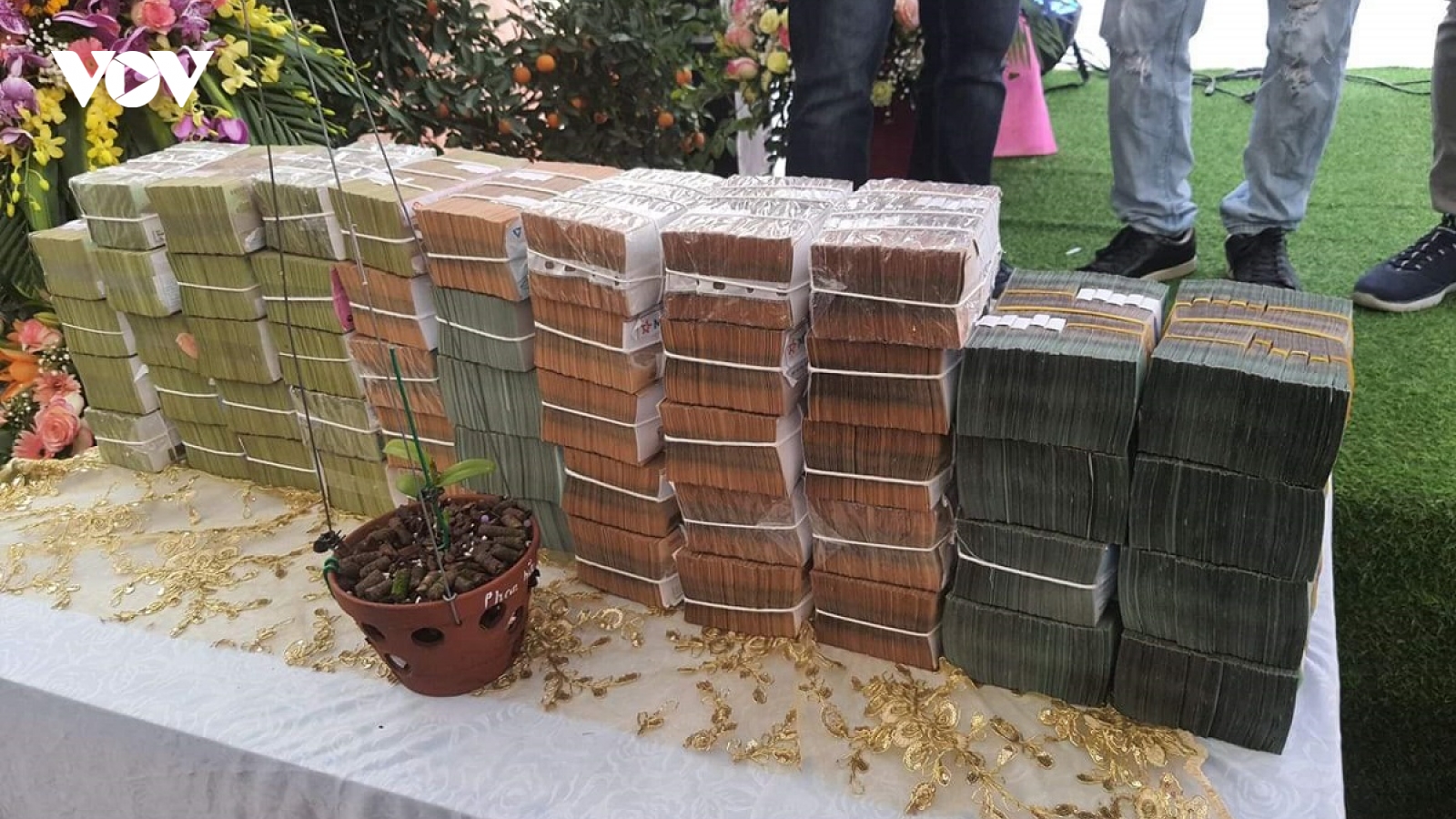 Nghi vấn quanh vụ mua bán lan var Ngọc Sơn Cước 250 tỷ đồng ở Quảng Ninh
