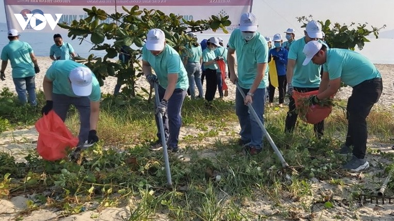 Hơn 100 đoàn viên thanh niên tham gia dọn vệ sinh môi trường biển ở Đà Nẵng