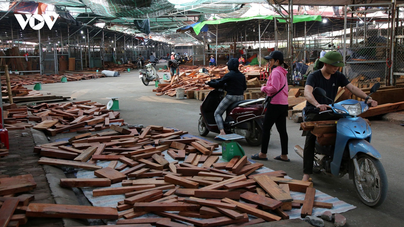 Chợ gỗ quý lớn nhất miền Bắc, hàng hóa trị giá cả trăm tỷ đồng