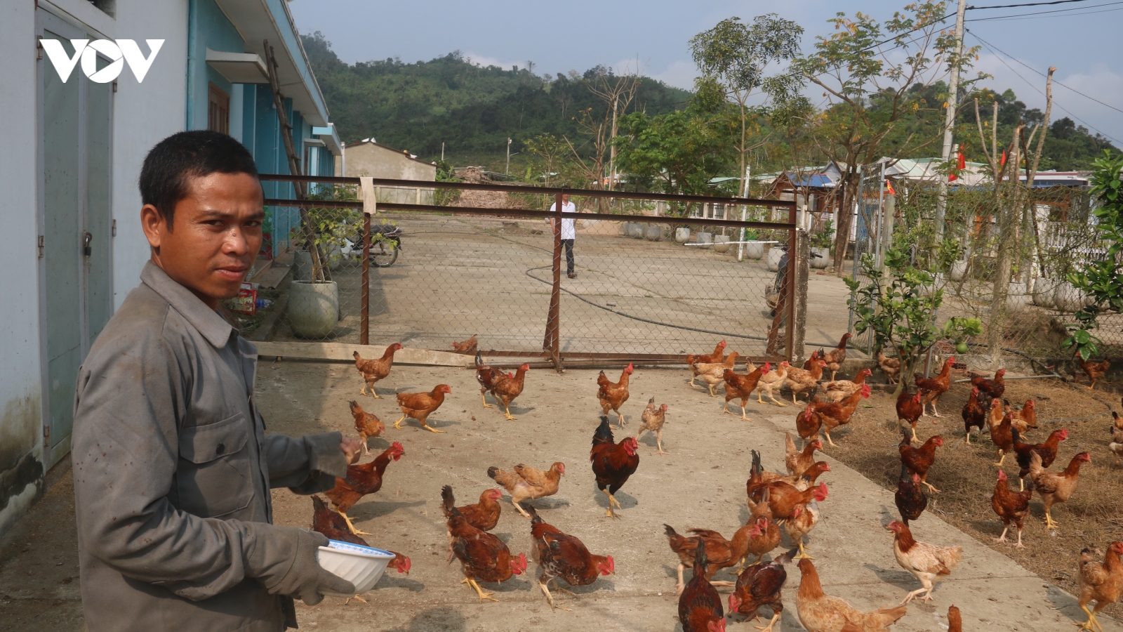 Thanh niên Quảng Nam làm giàu từ vùng đất hoang sơ, cây cối mọc um tùm