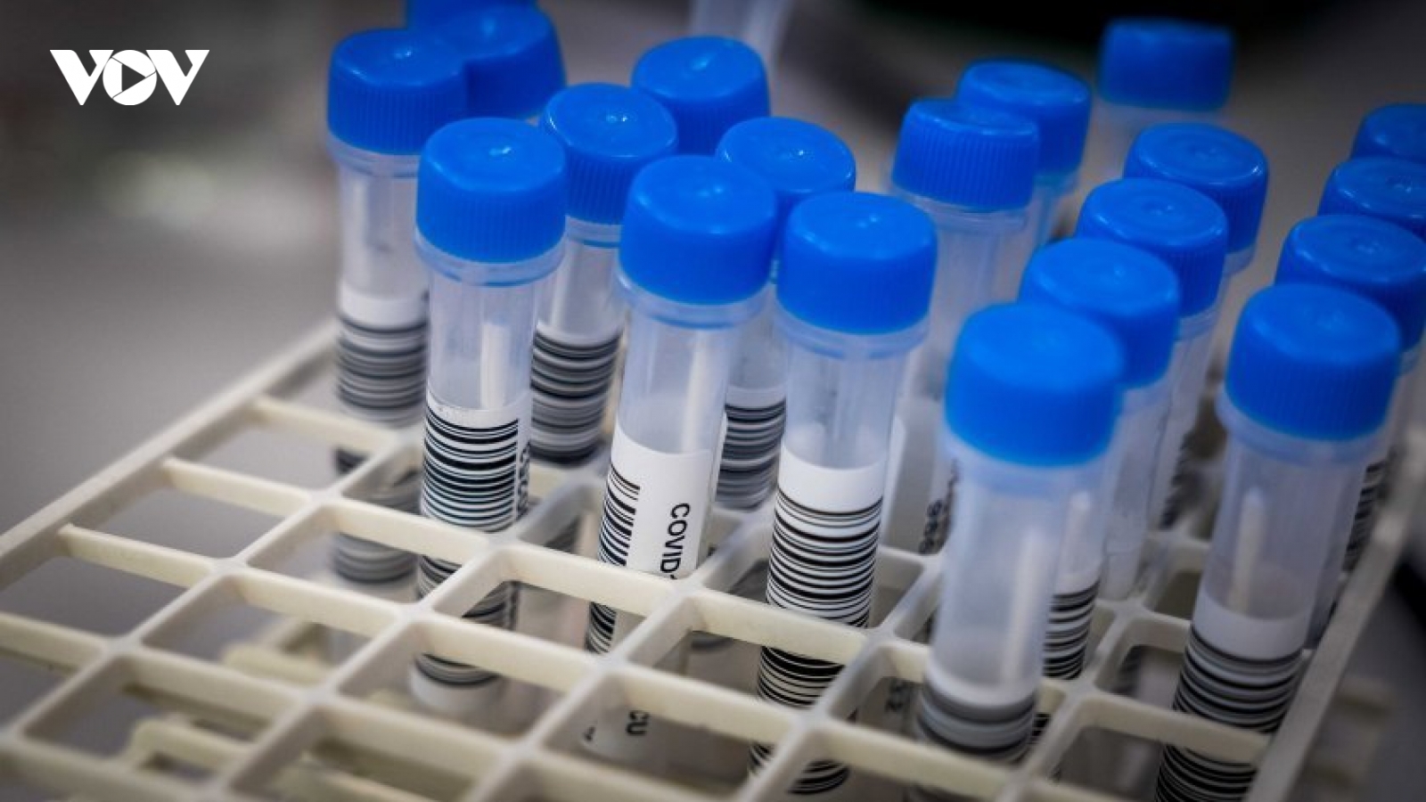 Bulgaria đạt thỏa thuận mua 2,7 triệu vaccine Pfizer