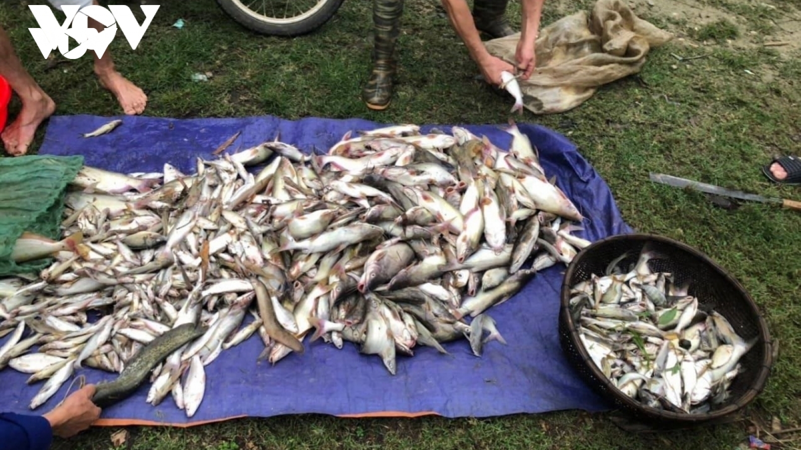 “Thủ phạm” thứ 3 thừa nhận xả thải ra sông Mã