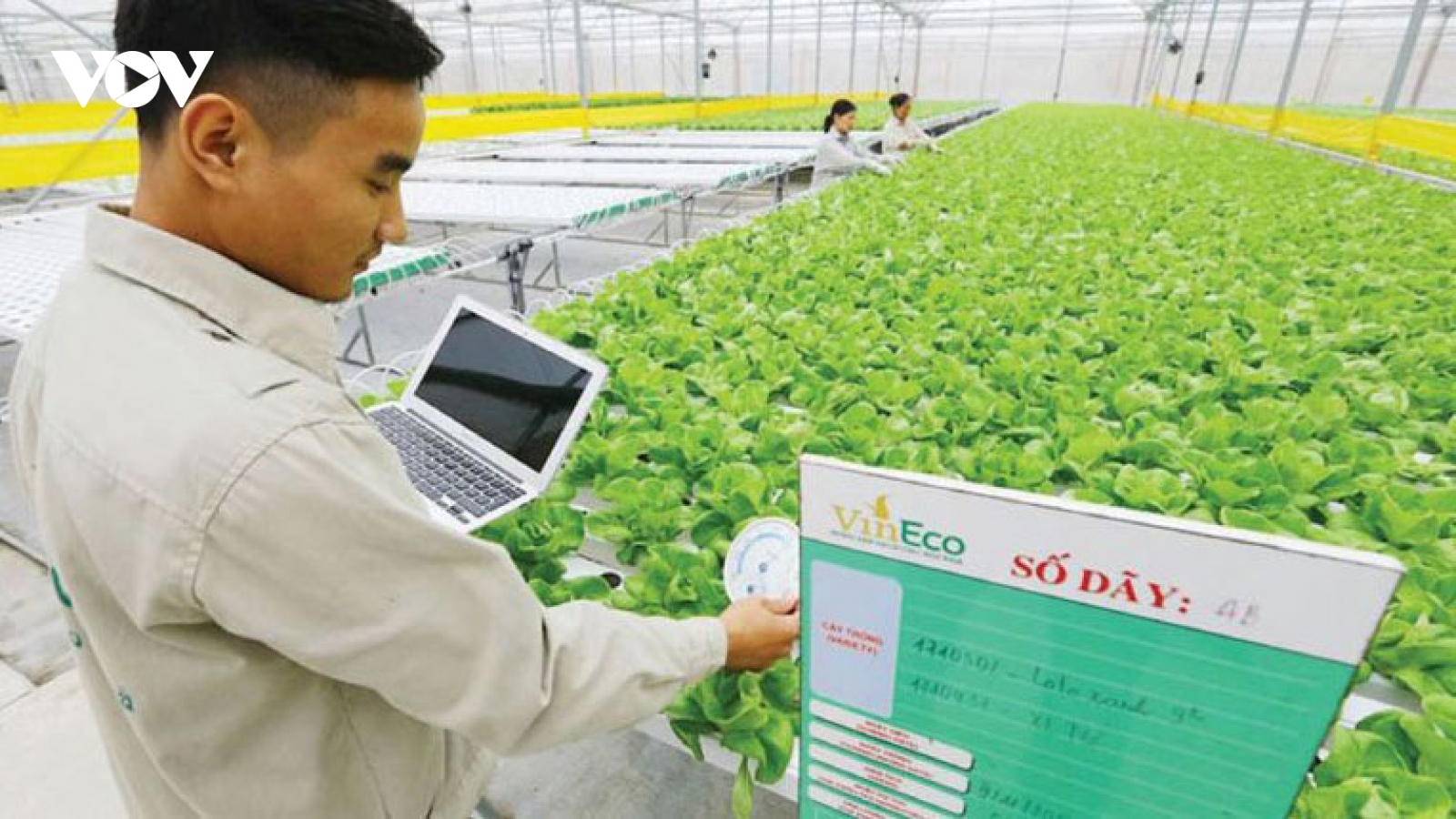 Chuyển đổi số doanh nghiệp còn lắm nỗi lo
