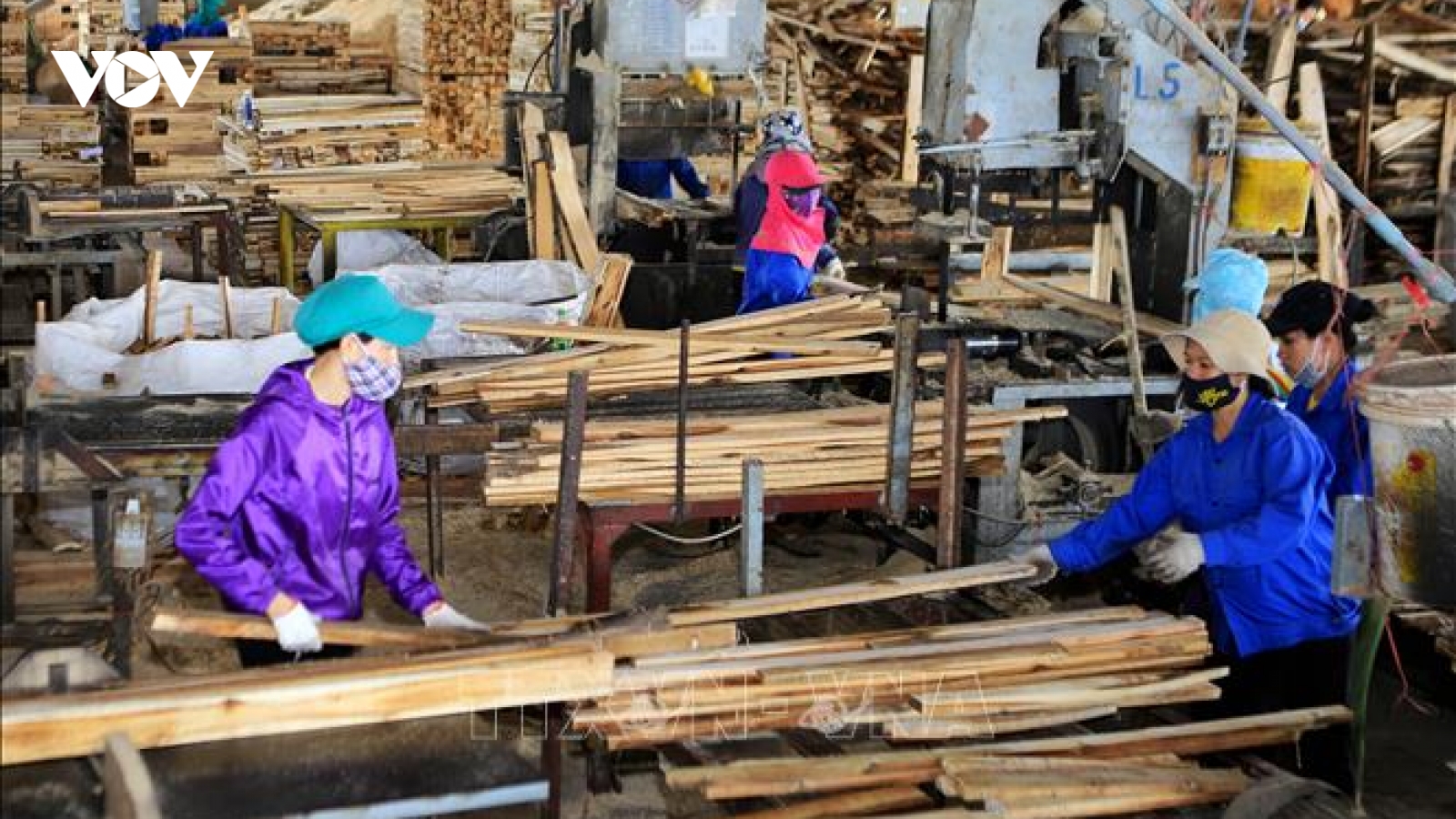 Giảm rủi ro về nguồn gốc, đảm bảo xuất khẩu gỗ bền vững