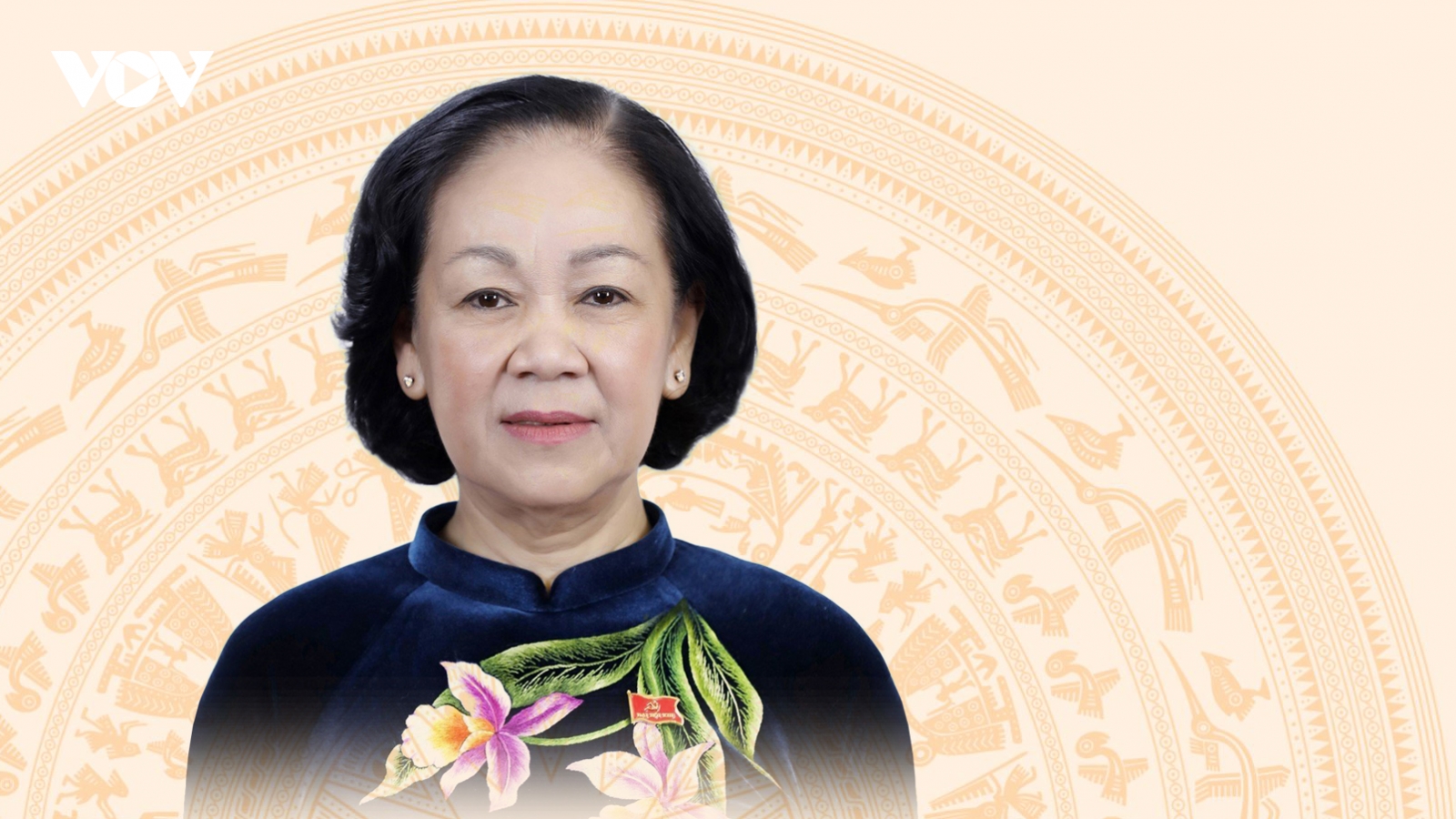 Chân dung Trưởng Ban Tổ chức Trung ương Trương Thị Mai