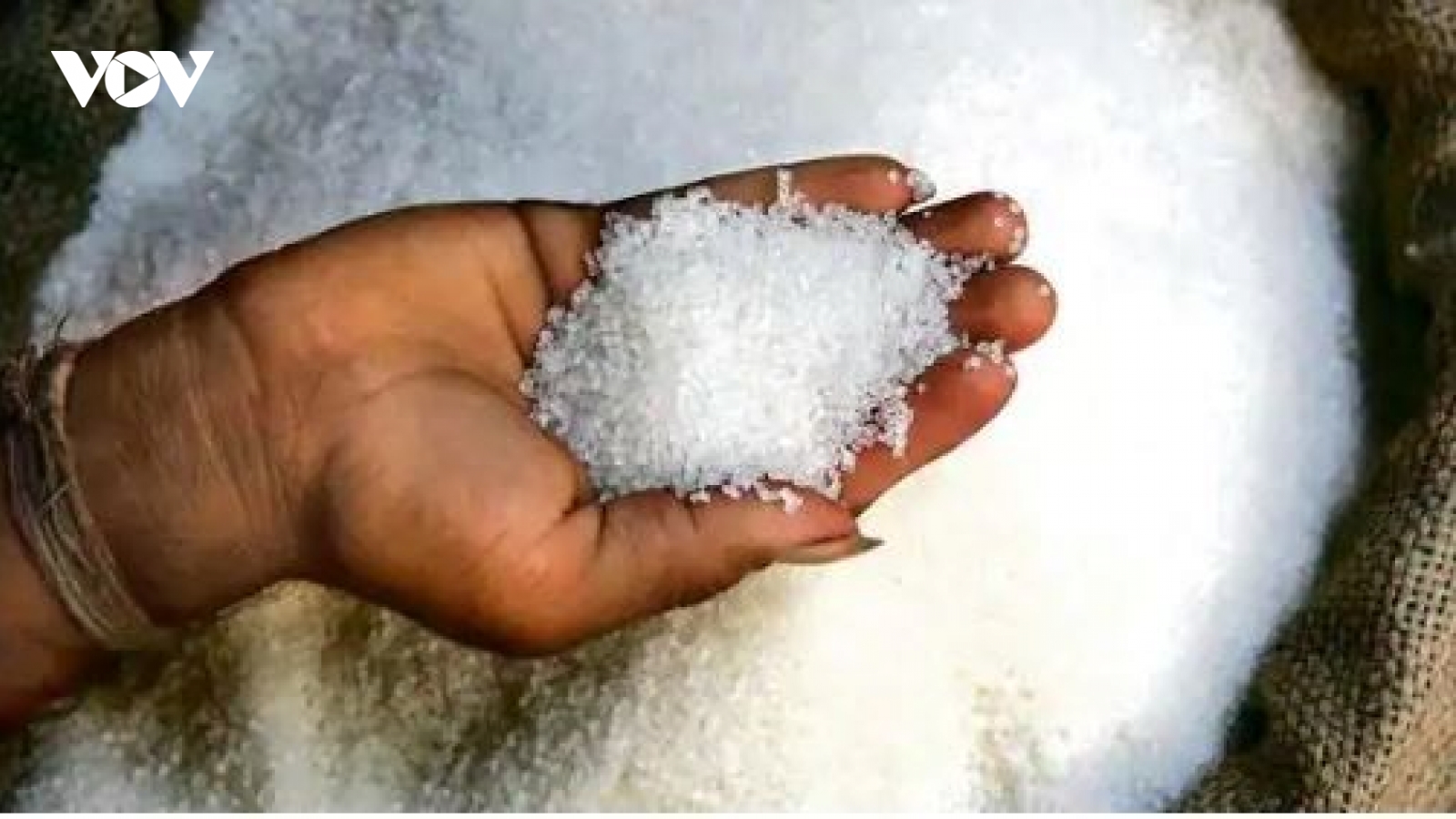 Pakistan cho phép nhập khẩu bông và đường của Ấn Độ sau gần 2 năm