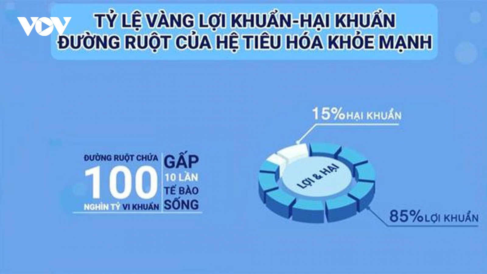 Cần làm gì để cân bằng hệ vi khuẩn đường ruột giúp hệ tiêu hóa khỏe mạnh