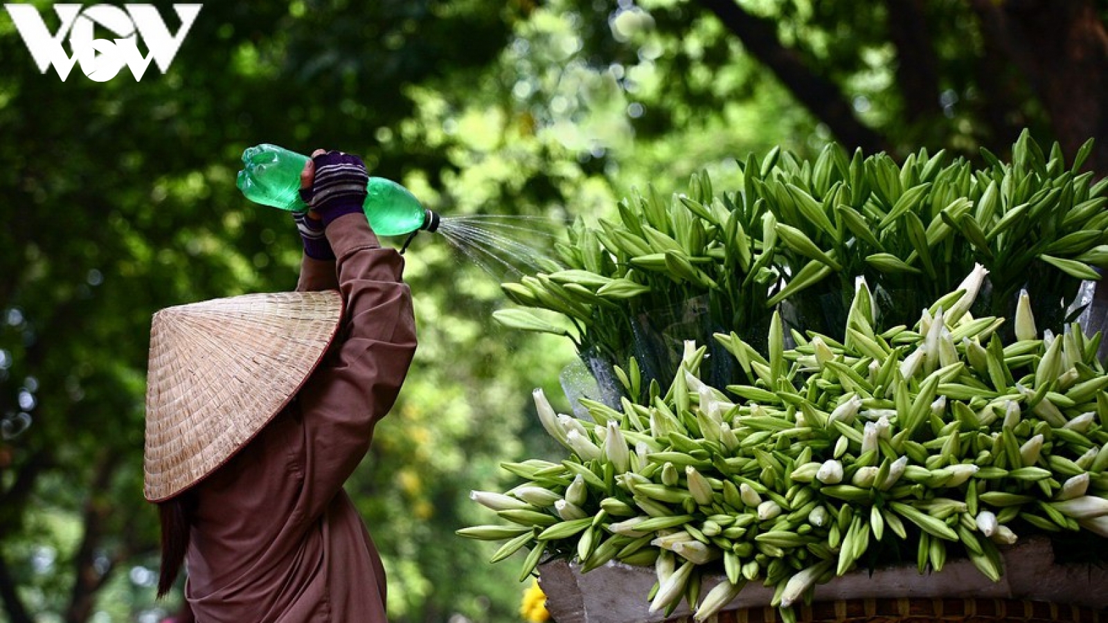 Thời tiết ngày 3/4: Cả nước có mưa, nhiệt độ giảm nhẹ