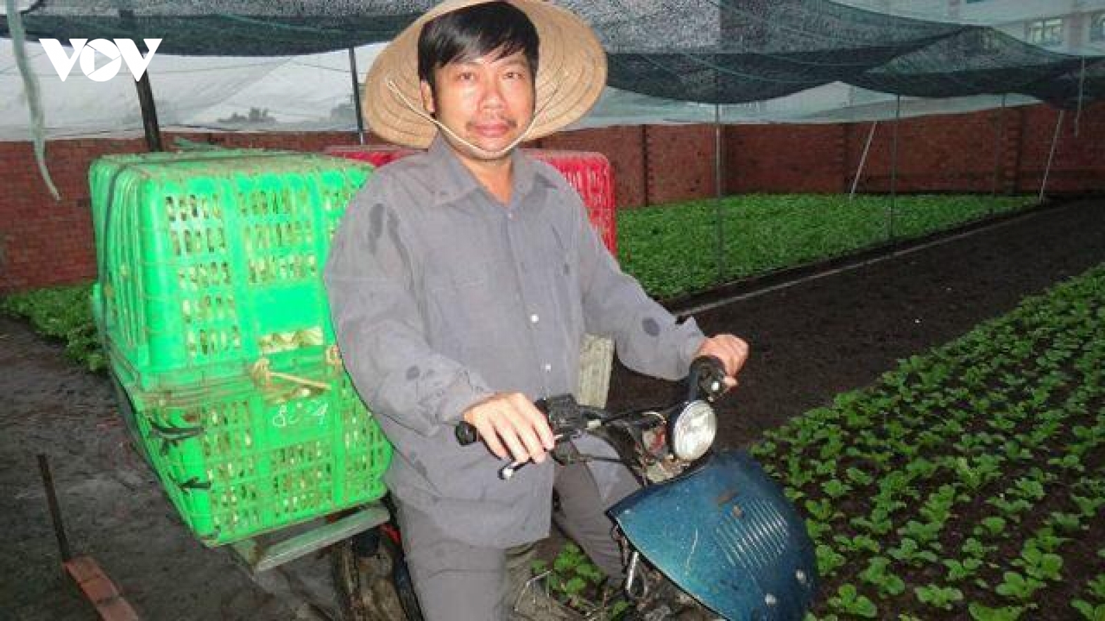 TPHCM khởi tố, bắt tạm giam một phóng viên