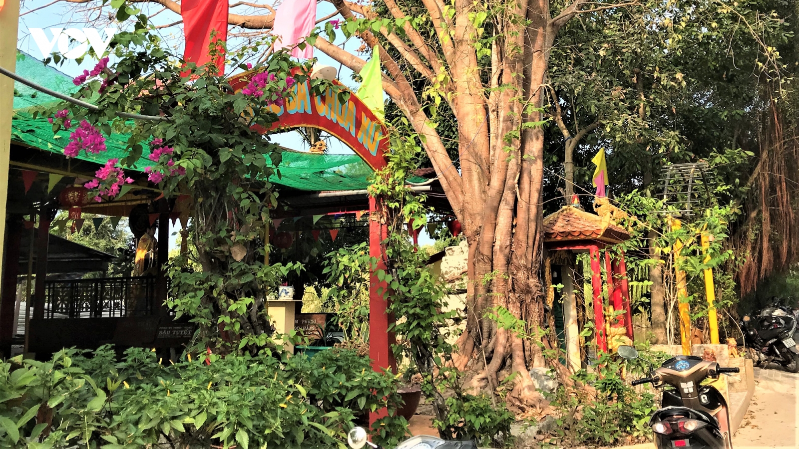 Vụ đánh người, lấy tài sản ở Cà Mau: Khởi tố bị can tội cướp tài sản