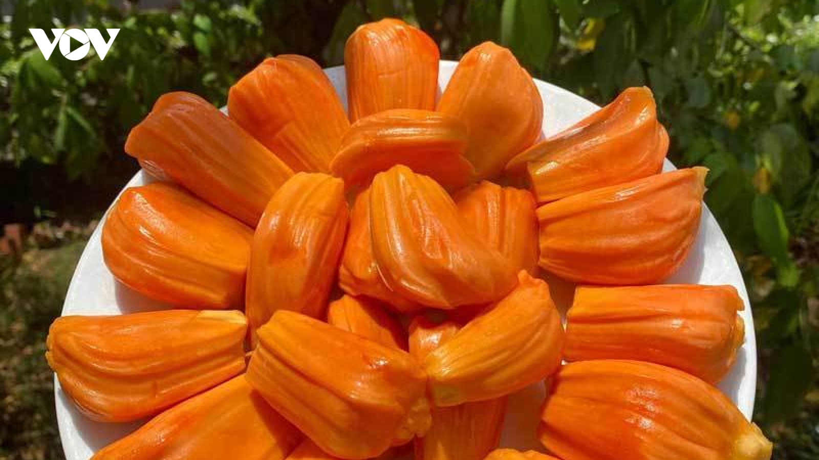 Mít siêu lạ giá cao ngất ngưởng vẫn cháy hàng