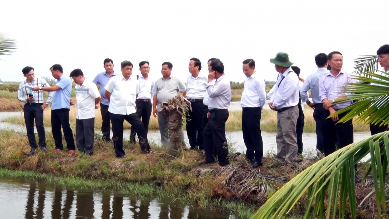 Mô hình tôm-lúa hữu cơ ở Kiên Giang được người dân hưởng ứng