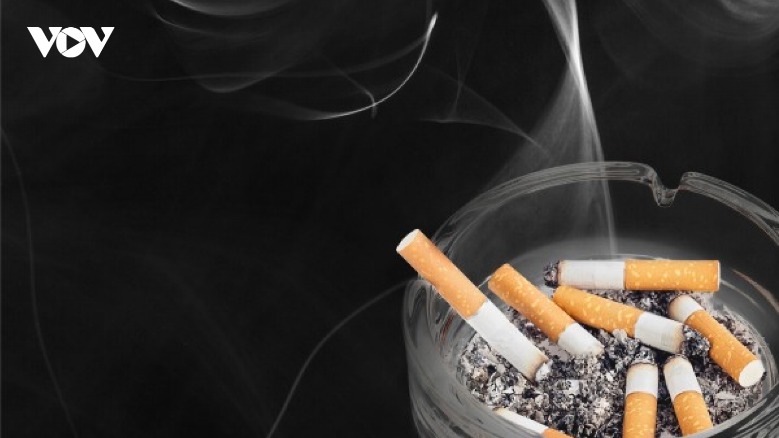 Mỹ cân nhắc buộc các nhà sản xuất giảm lượng chất gây nghiện trong thuốc lá