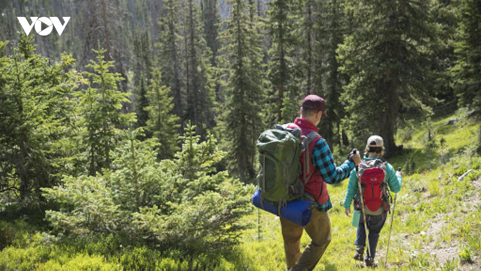 7 lý do tại sao bạn nên đi bộ đường dài (hiking)