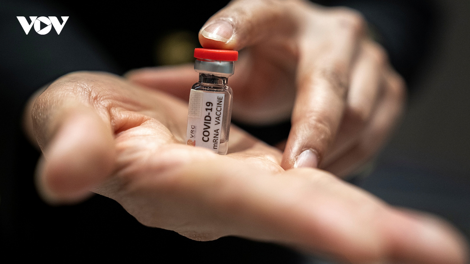 Hộ chiếu vaccine Covid-19: Phao cứu sinh hay nguồn cơn câu chuyện bất bình đẳng?