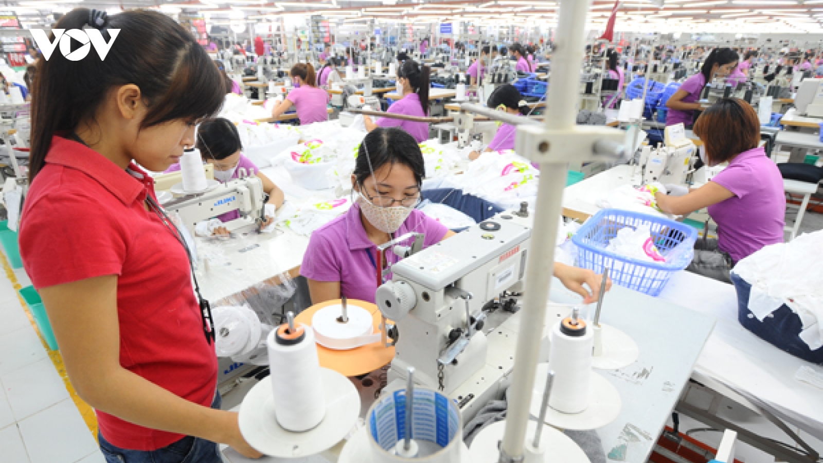 Doanh nghiệp Việt cần nâng cao năng lực cạnh tranh để hưởng "trái ngọt" từ CPTPP