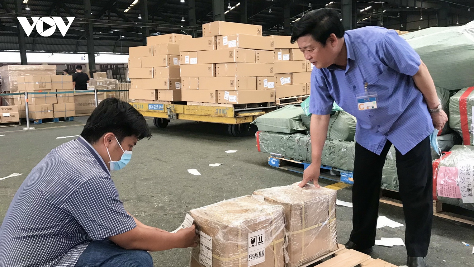 Lô hàng dược liệu đầu tiên của nông dân Quảng Trị xuất khẩu sang Mỹ