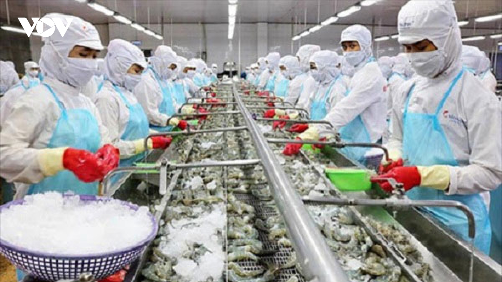 Xuất khẩu tăng cao trong dịch: Nỗ lực tăng trưởng từ nhiều ngành hàng