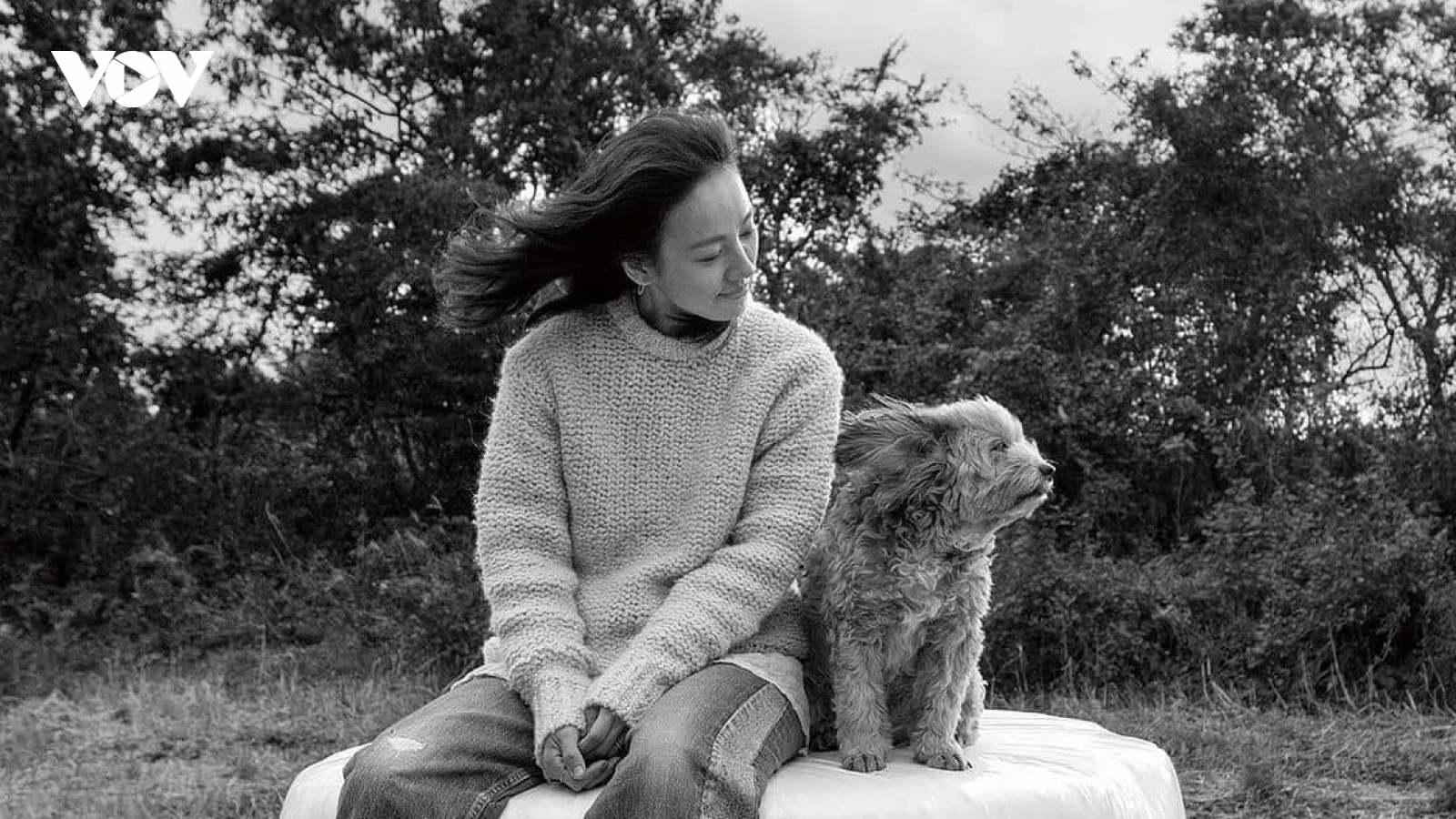 Lee Hyori đau buồn kể về chú chó nhỏ bị bố mẹ đưa vào nhà hàng