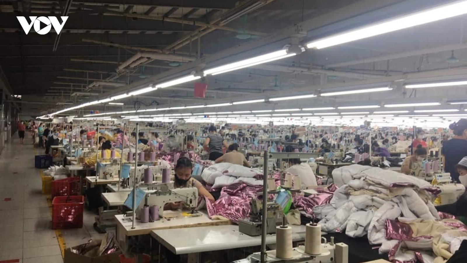 Bắc Giang quyết không để xảy ra một “Hosiden thứ hai”