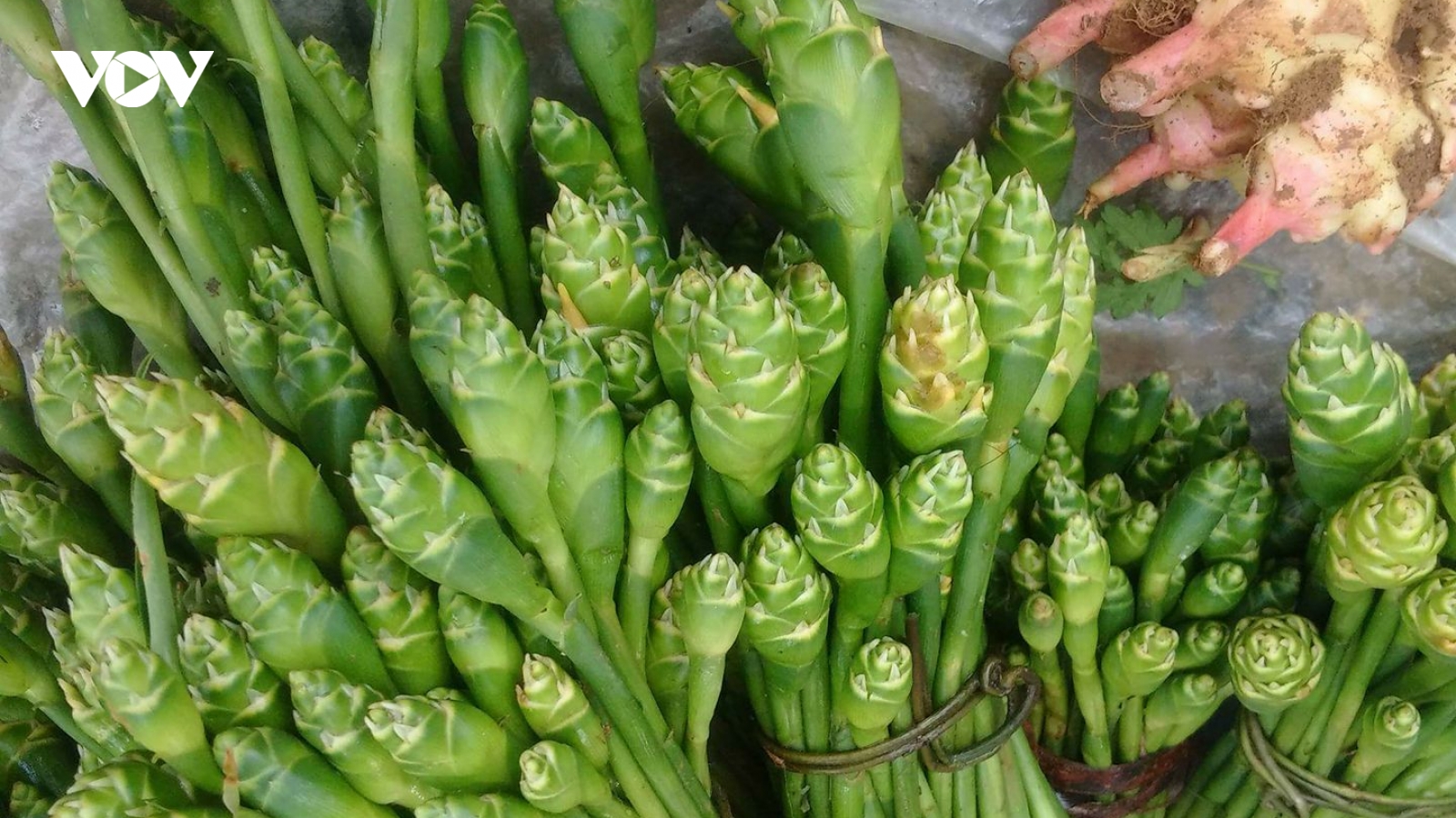 Loại cây từng là thức ăn gia súc nay thành đặc sản