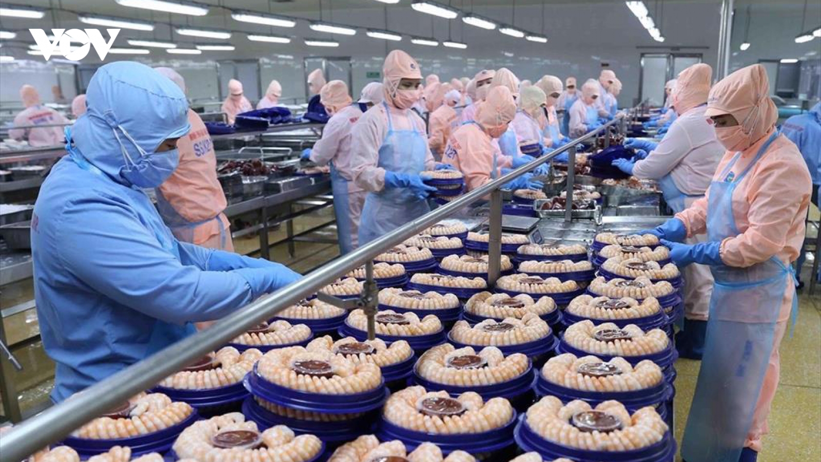 Xuất khẩu tăng trưởng, doanh nghiệp thích ứng dần với tình hình mới