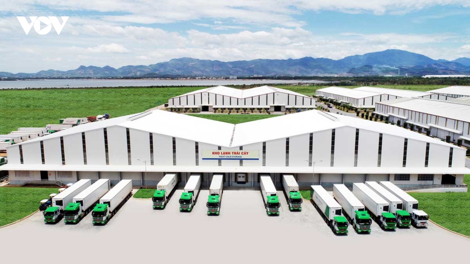 Logistics trọn gói cho nông nghiệp, THILOGI đưa nông sản Việt ra thế giới