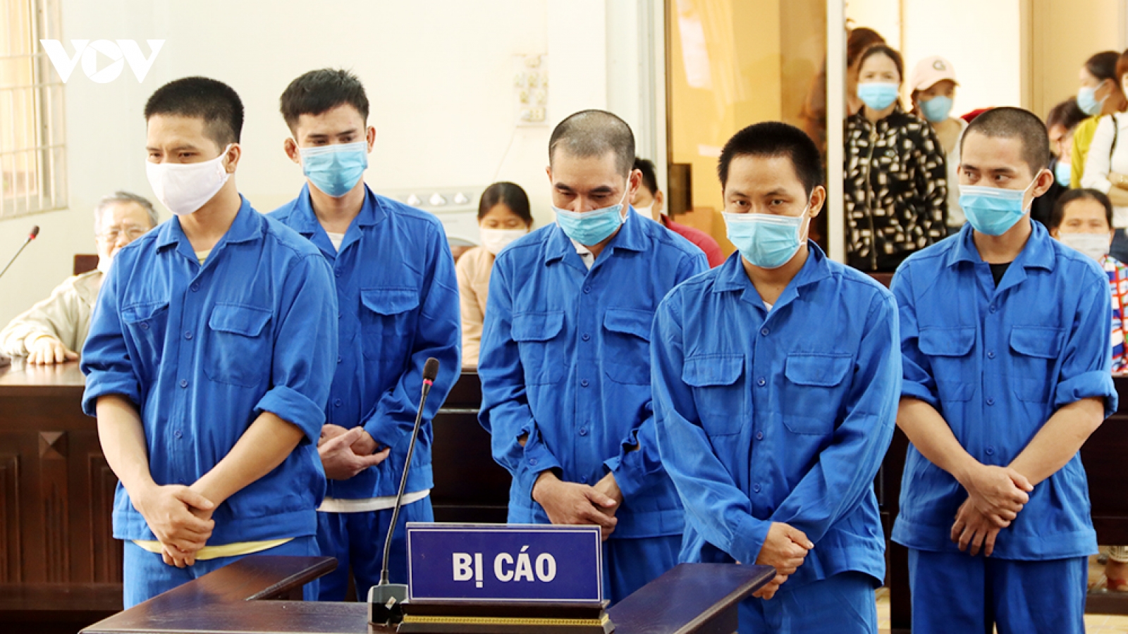 Tuyên án 24 năm tù nhóm đối tượng tổ chức cho người khác nhập cảnh trái phép
